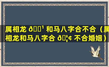 属相龙 🌹 和马八字合不合（属相龙和马八字合 🦢 不合婚姻）